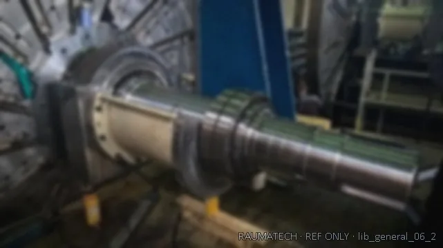 Rotor shaft and bearing zones